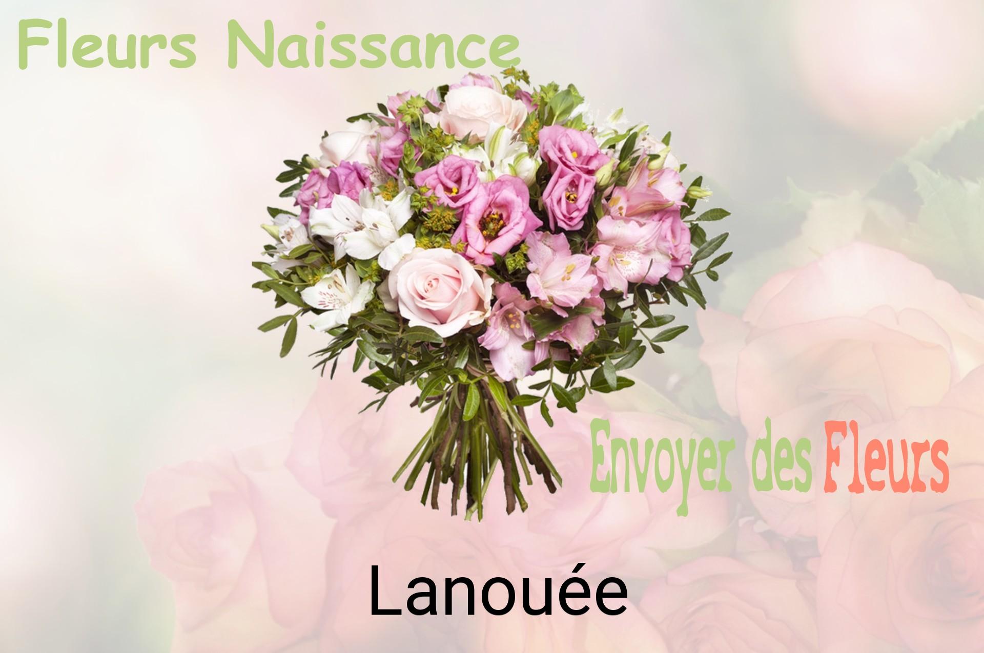 Bouquet de fleurs de naissance livré à Lanouée